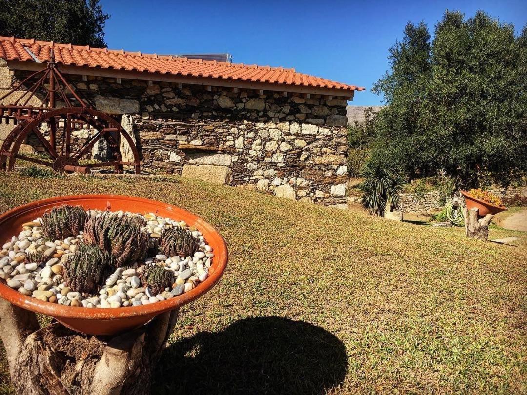 Quinta Do Fortunato Viana do Castelo Bagian luar foto